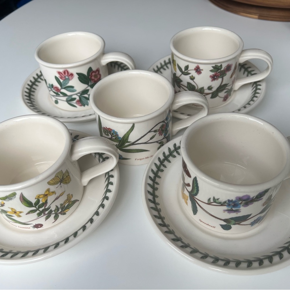 portmeirion botanic garden Cup and Saucer Set_made in England